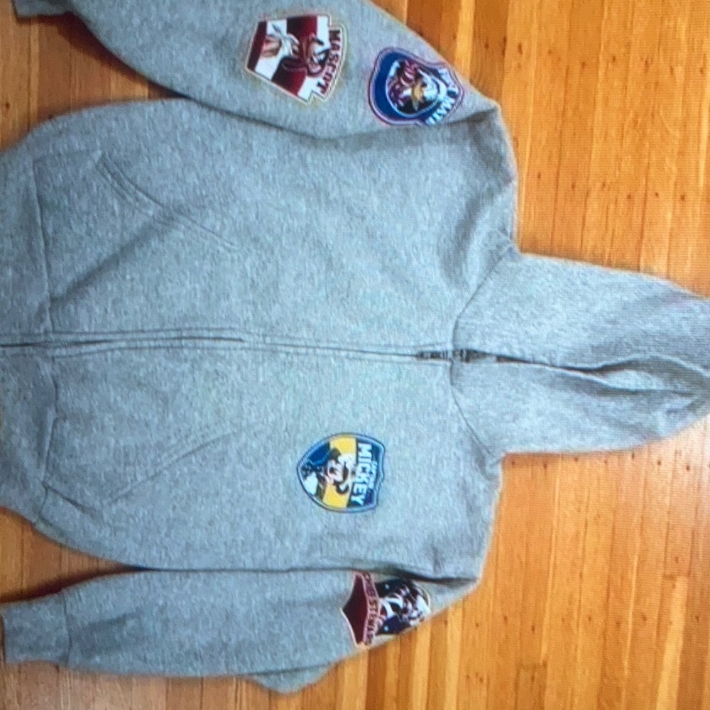 Disney by Hanes Disney cruiseline grey zip up hoodie